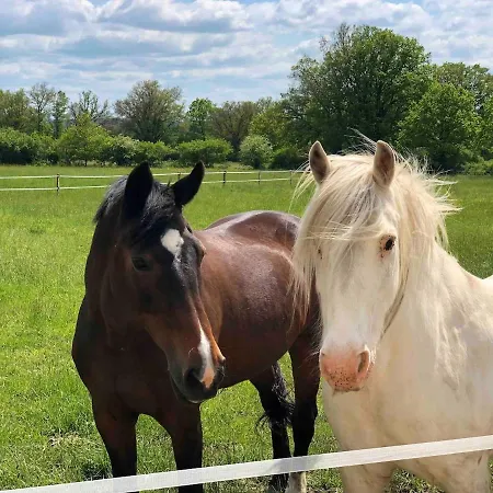 Prachtige Met Airconditioning 