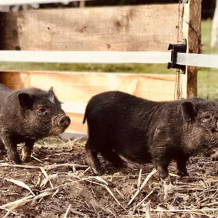 Lejlighed Prachtige Met Airconditioning 