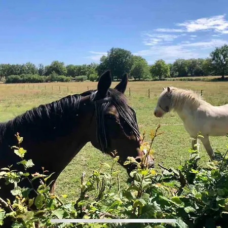 Prachtige Met Airconditioning 