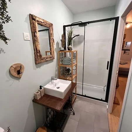 Appartement Prachtige gîte met airconditioning Gîte Le Voyageur *